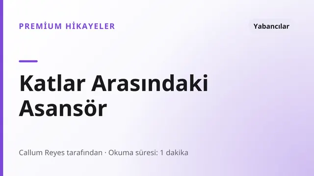 Katlar Arasındaki Asansör - Yabancılar seks hikayesi
